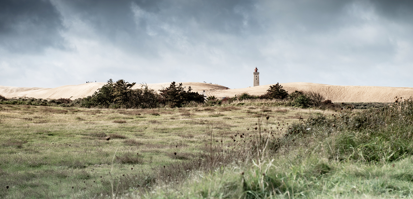 Rubjerg Knude