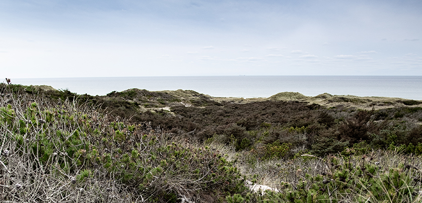 Brandfilm for Vestkysten