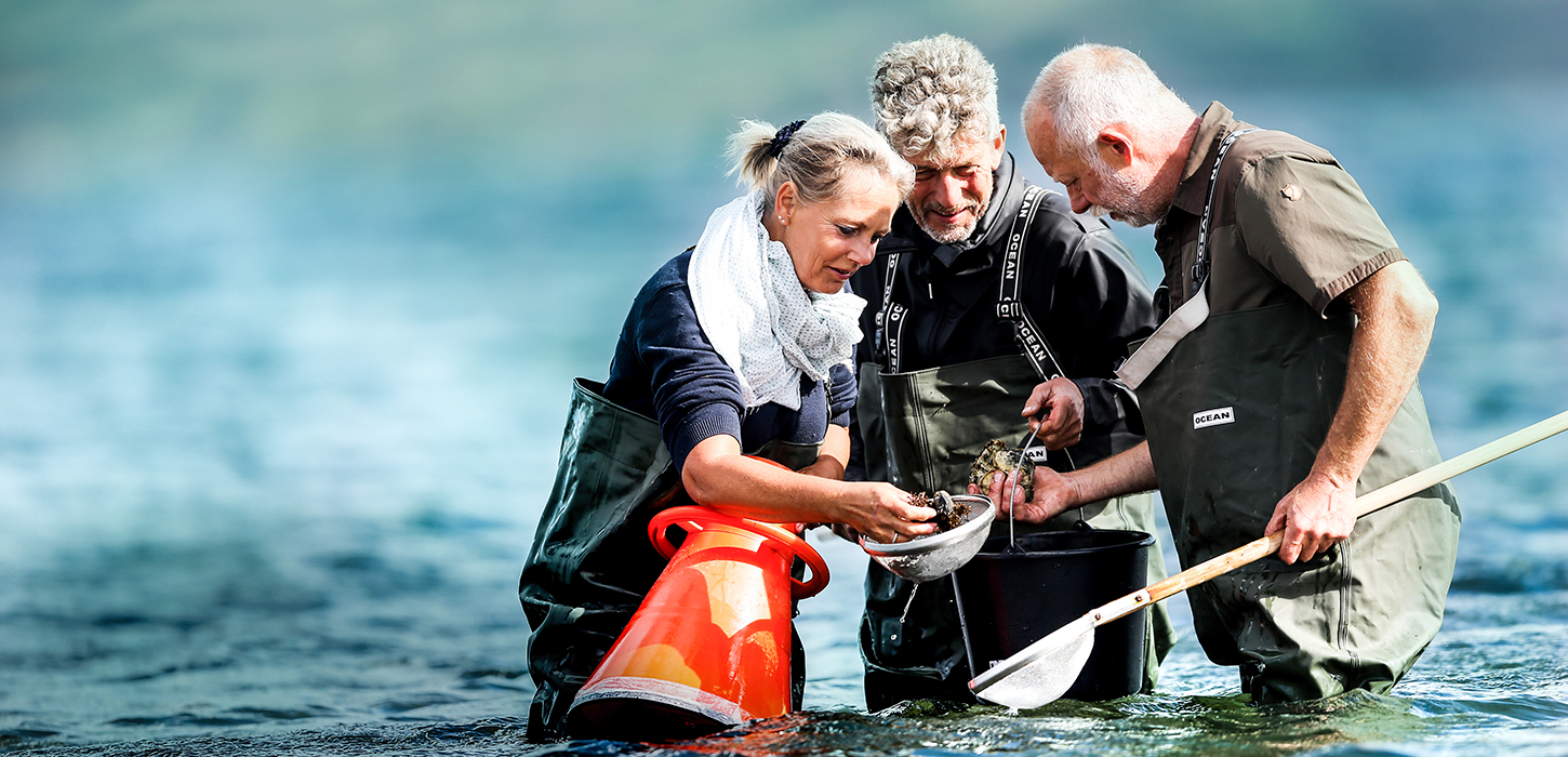 Østerssafari Jyllandsakvariet