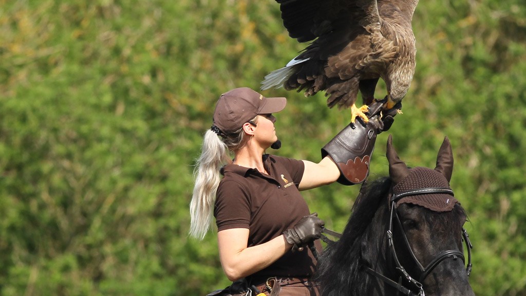 Ørnereservatet - Eagle World