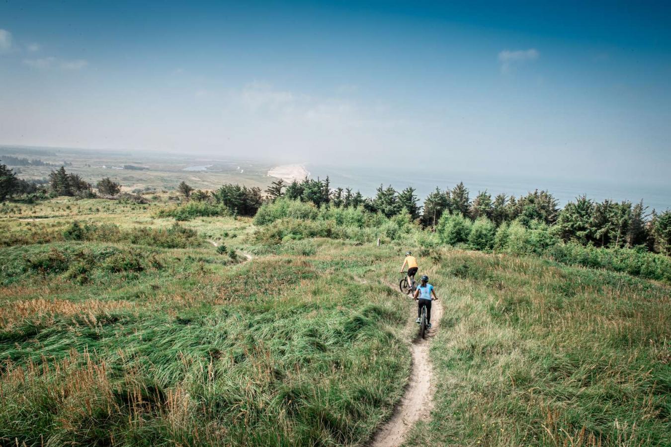 par på mountainbike