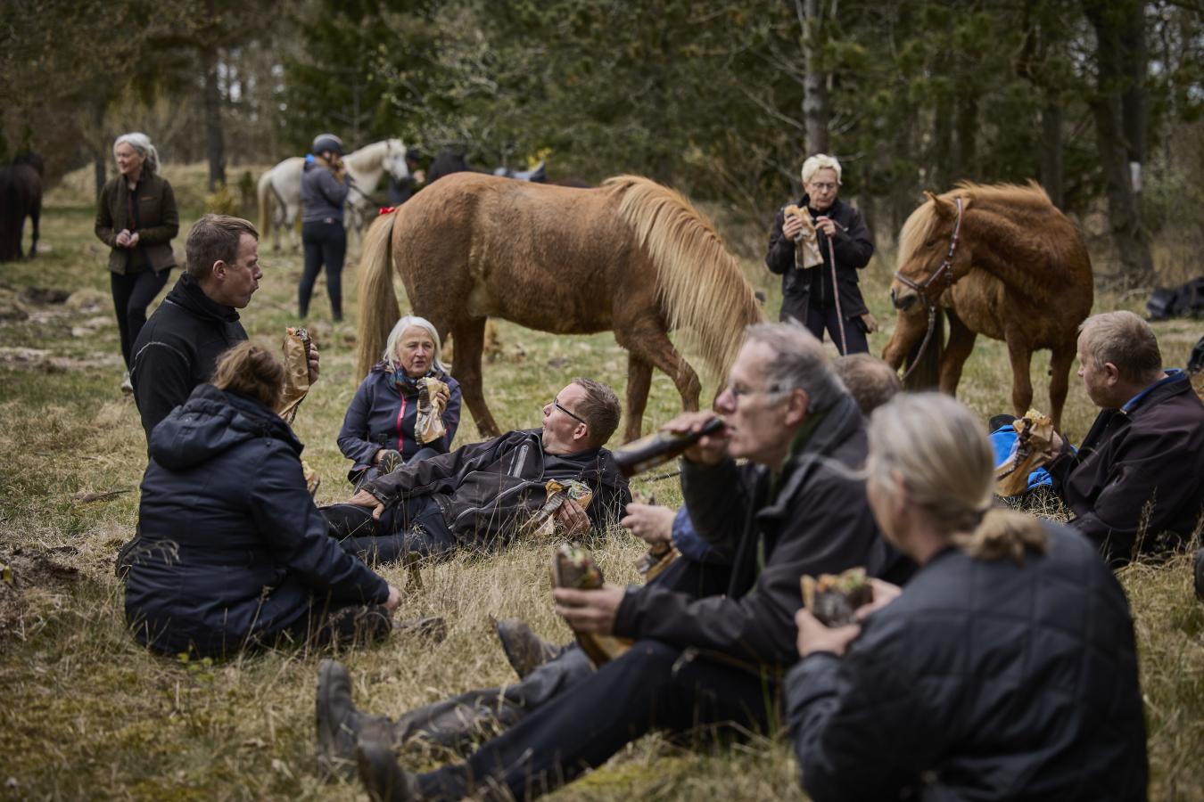 Mennesker og heste
