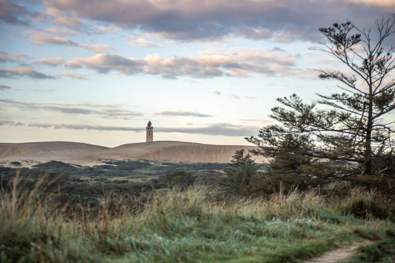Natur og Rubjerg Knude