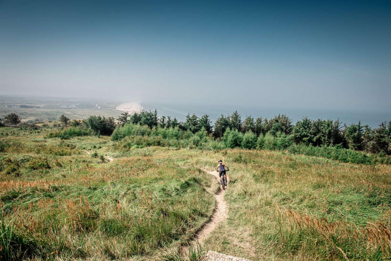 Mountainbike i Svinkløv Klitplantage