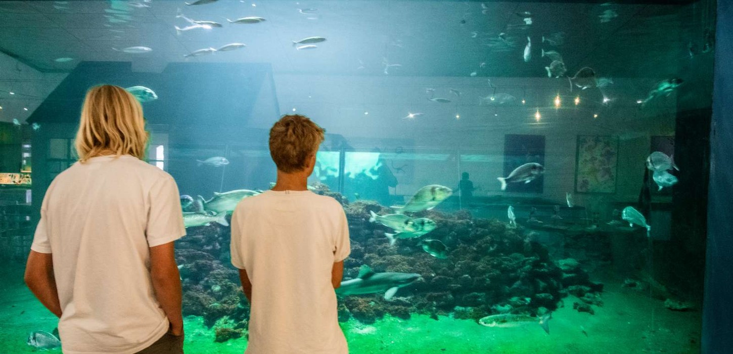 Drenge ved Nordsø akvariet