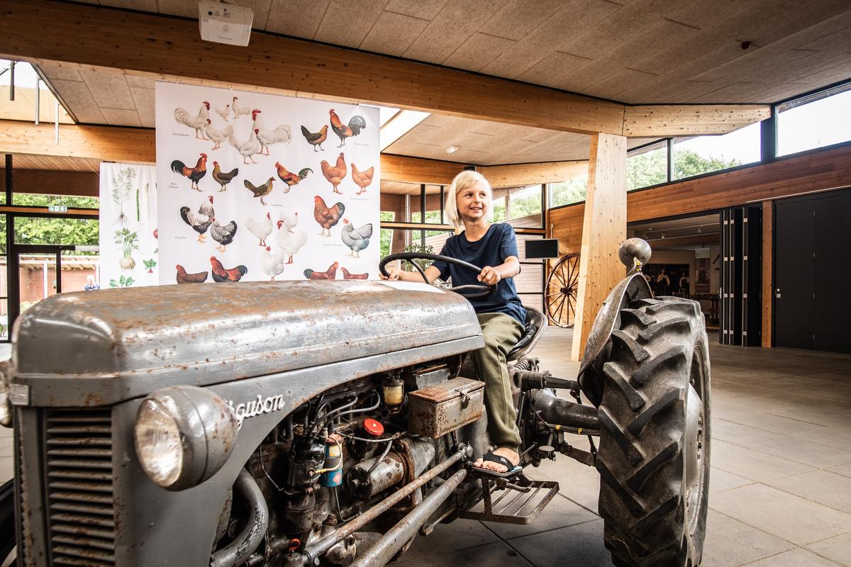 Dreng på traktor på Hjerl Hede