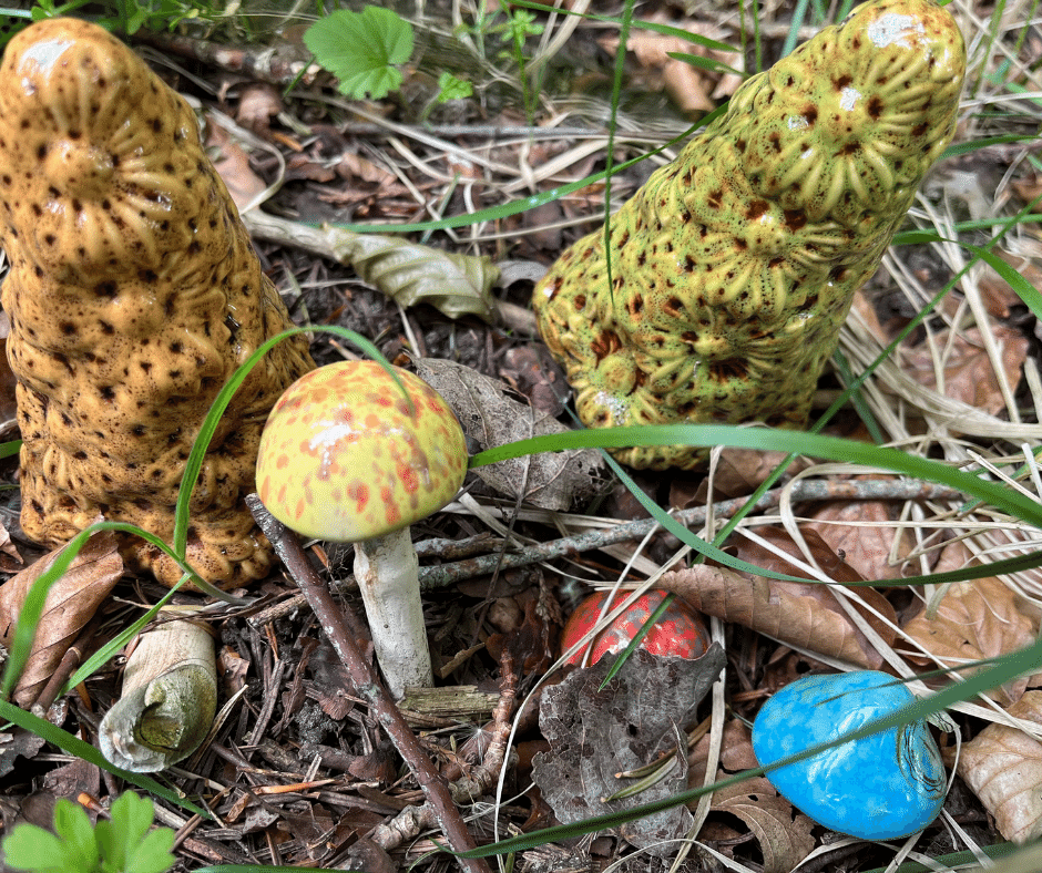 Tranum Lys og glas svampe i glas