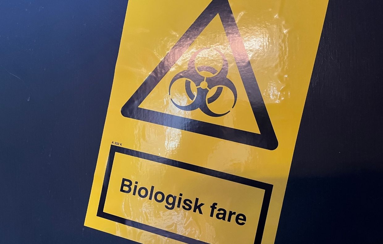 Surf and Work unge camp koordinator