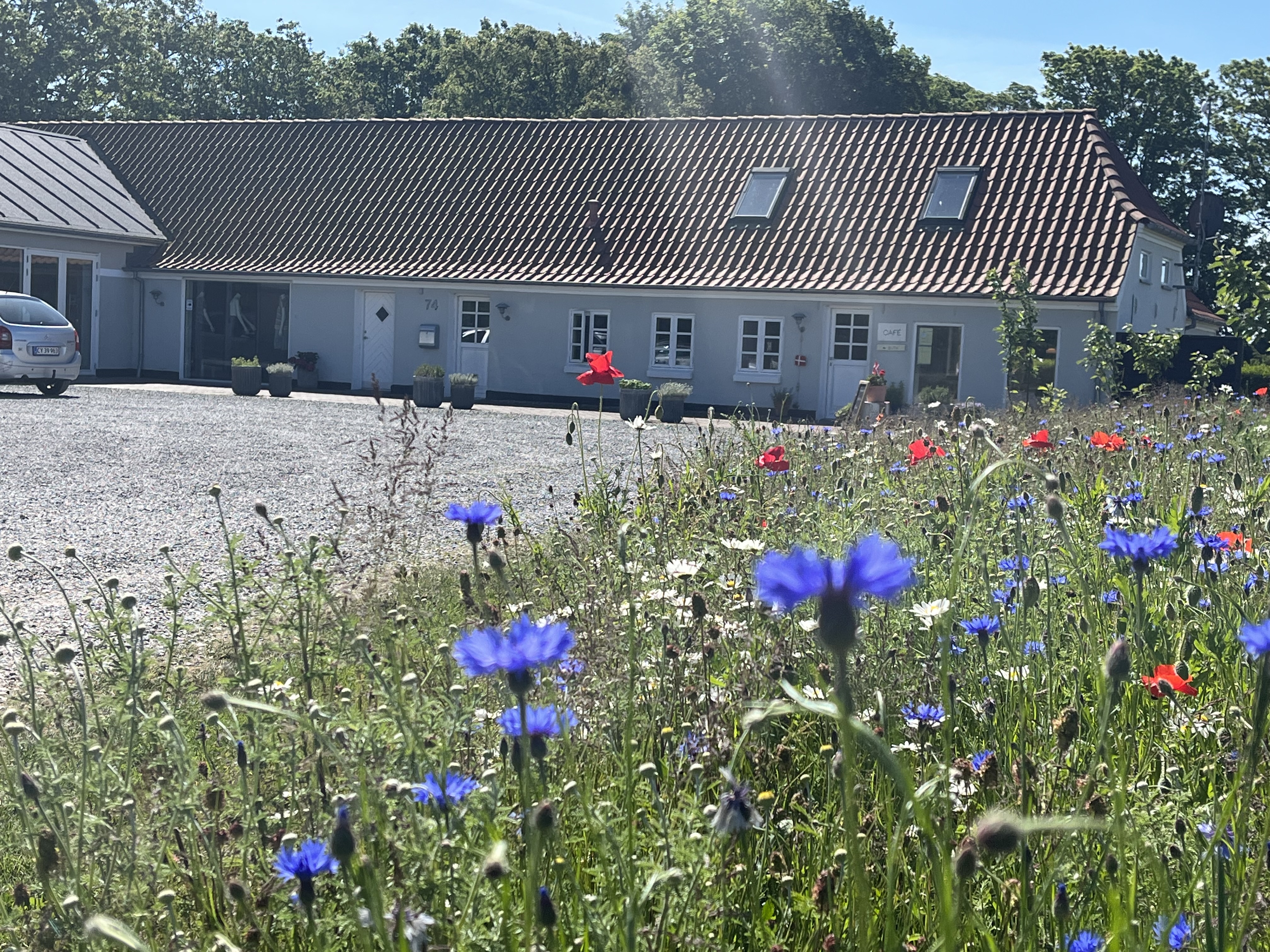 Hirseriet
