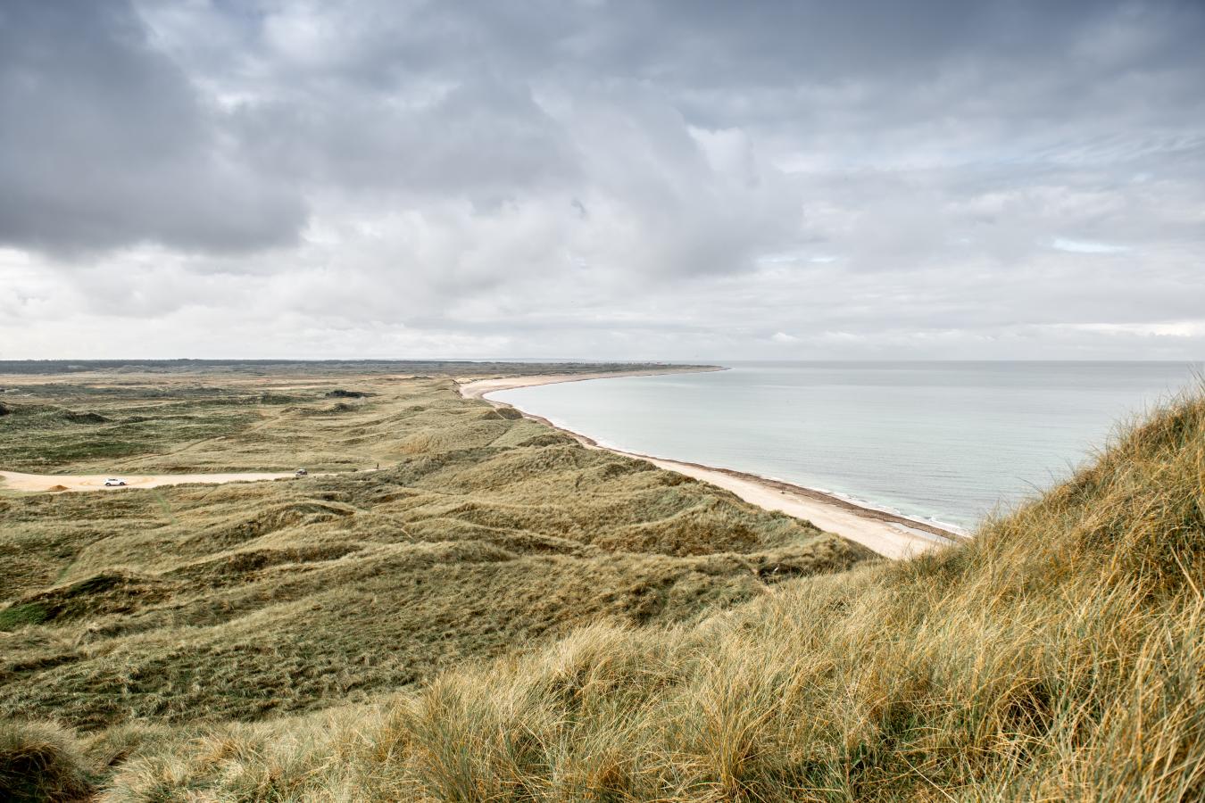 Bøgsted rende nationalpark Thy