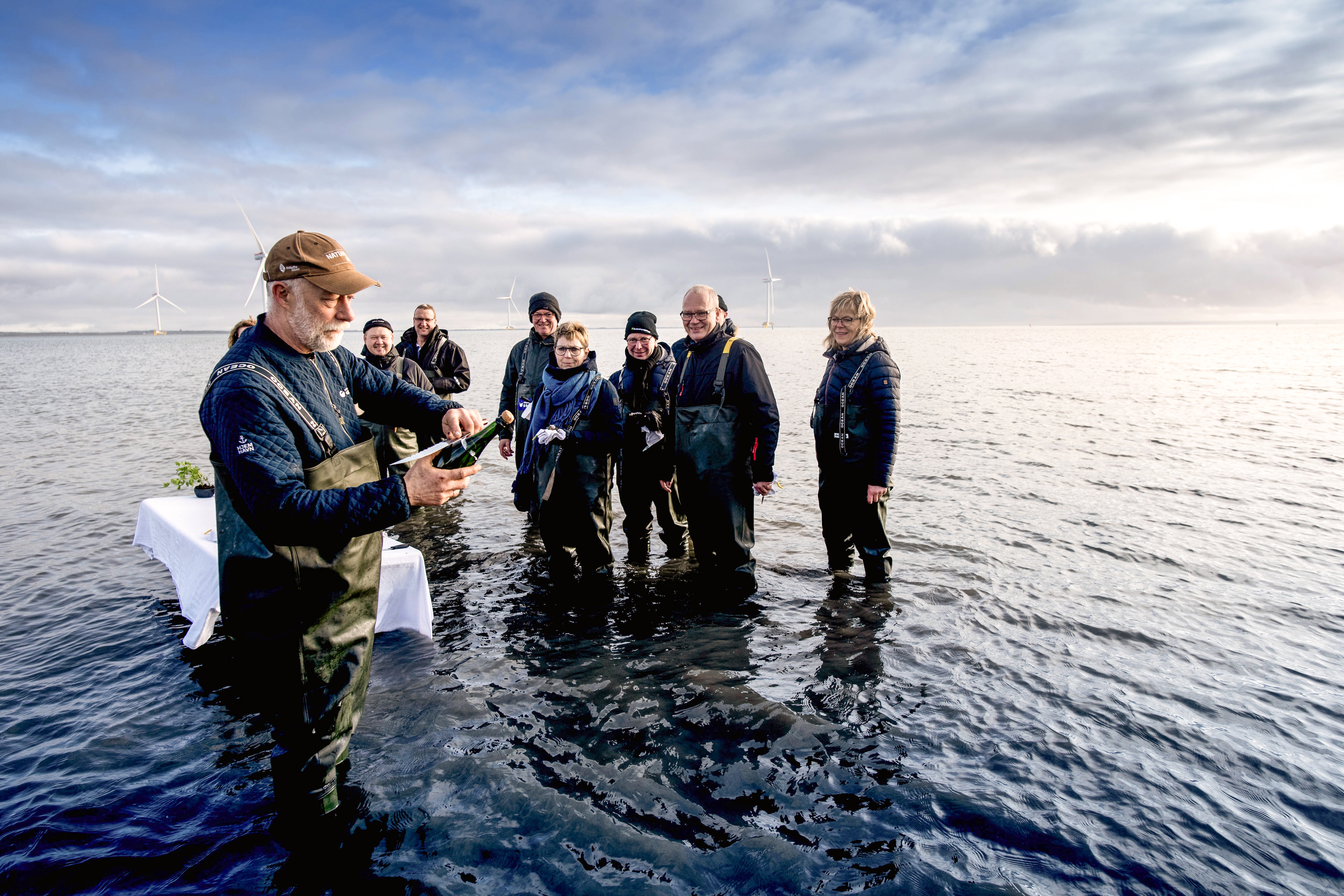 Østerssafari med Jyllandsakvariet