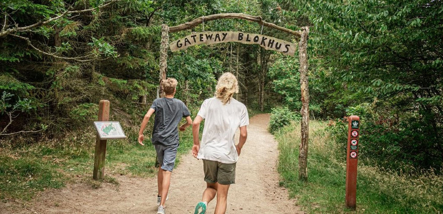 Blokhus, gateway, klitplantage