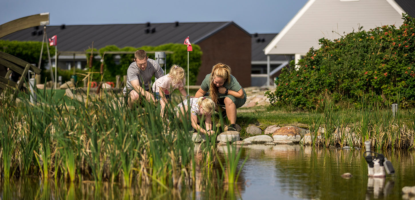 Landal, Grønhøj Strand