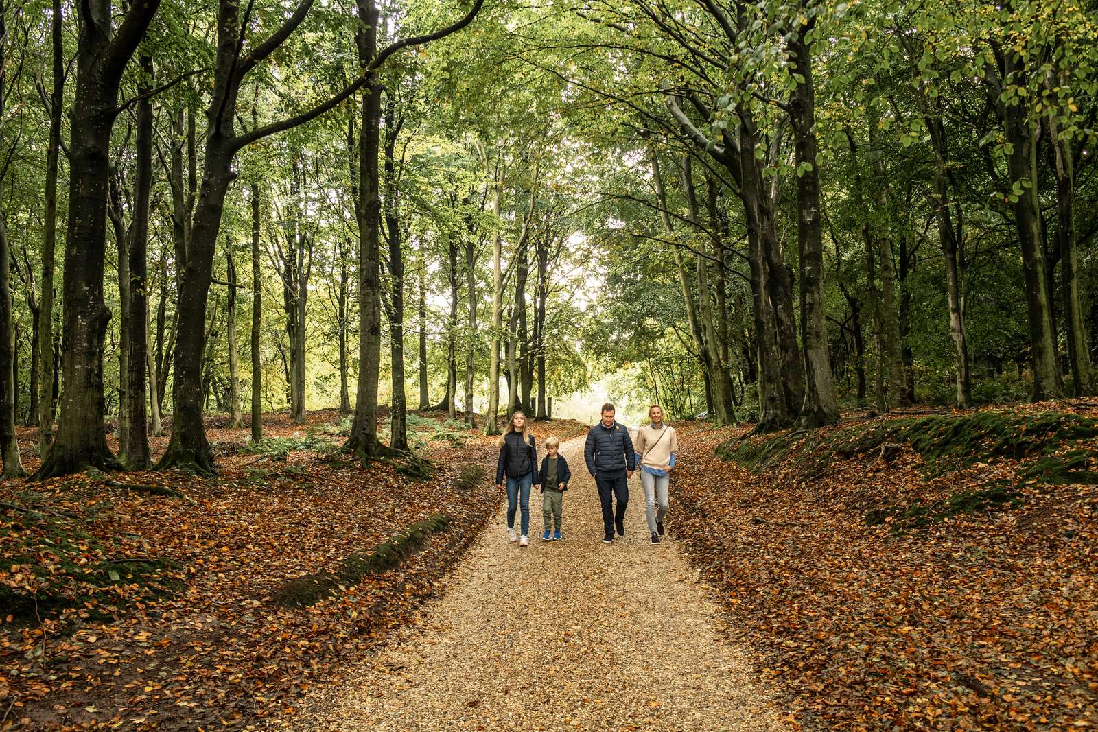 skov  - visitnordvestkysten