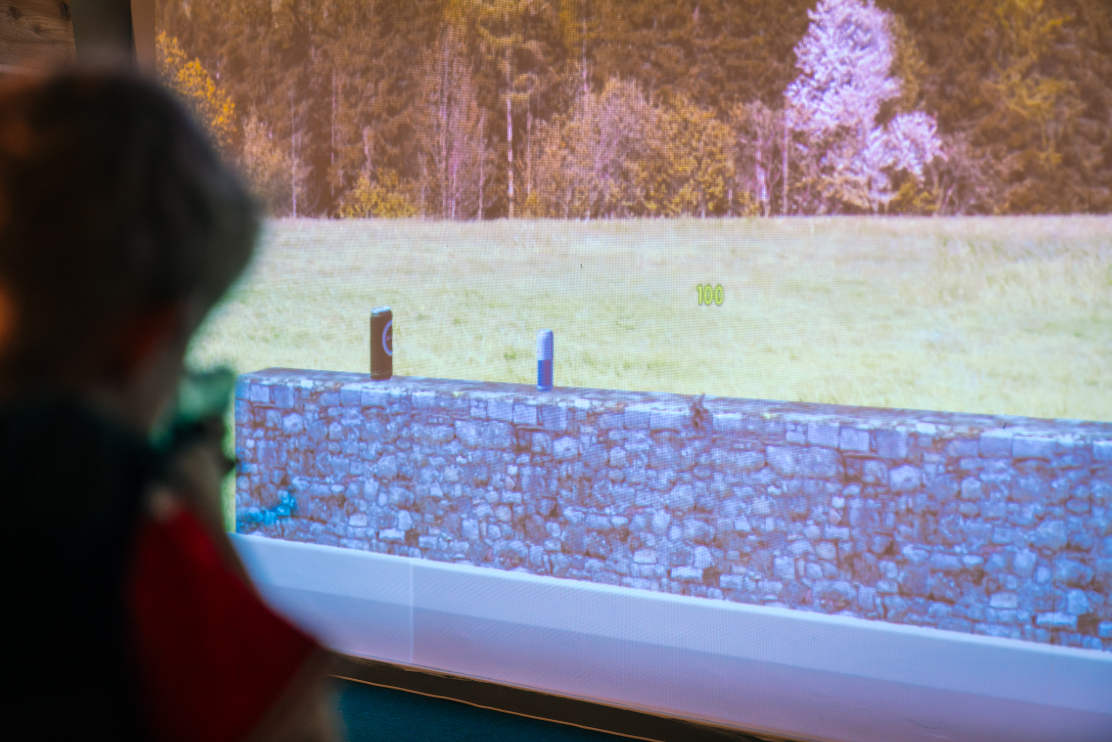 Action House - Skydesimulator