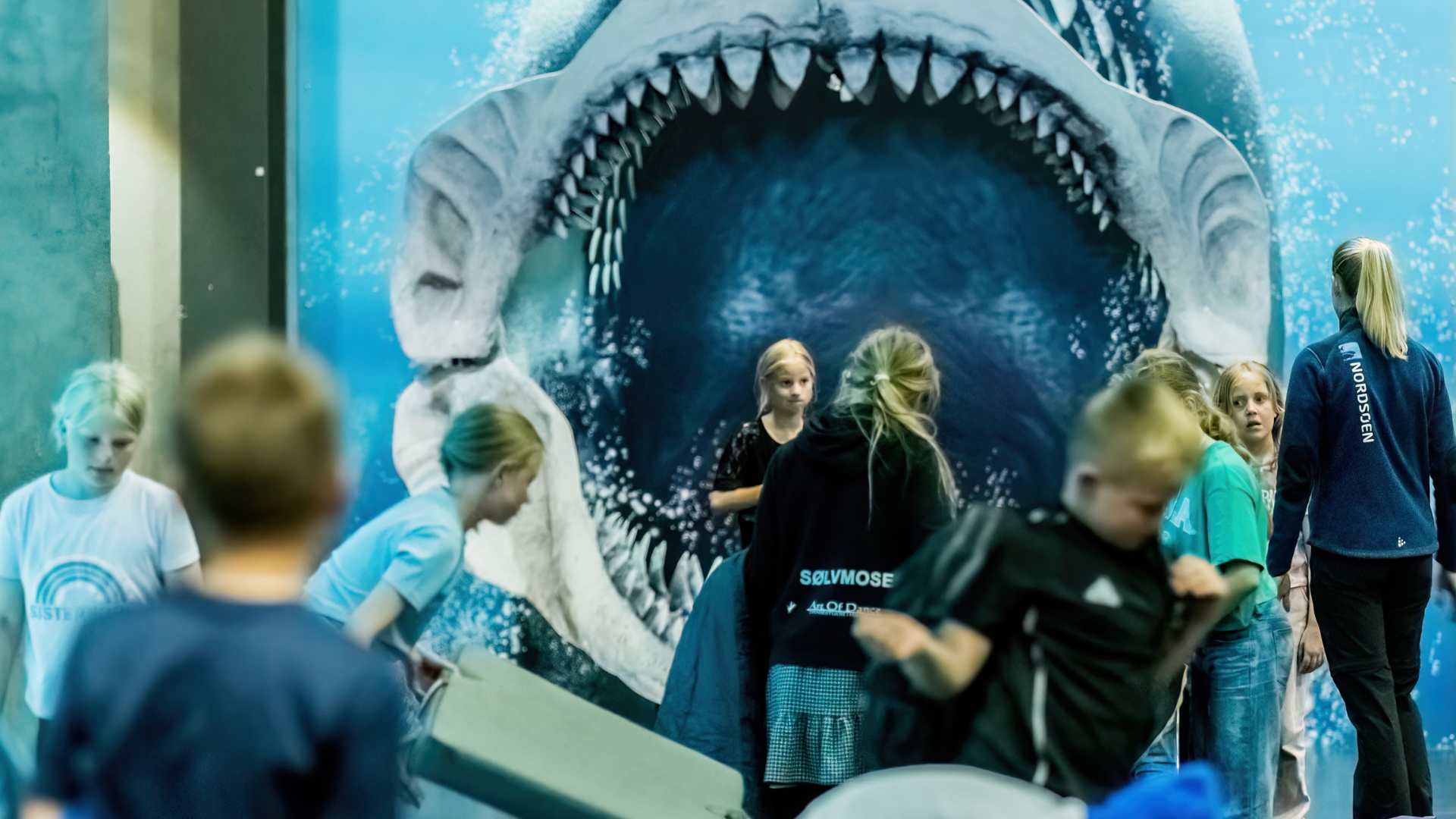 Nordsøen Oceanarium 