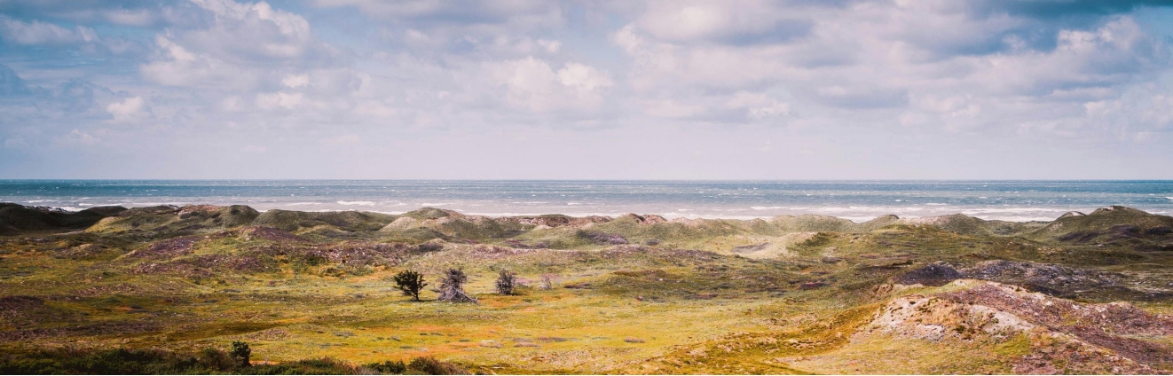 Det Bæredygtige Feriehus