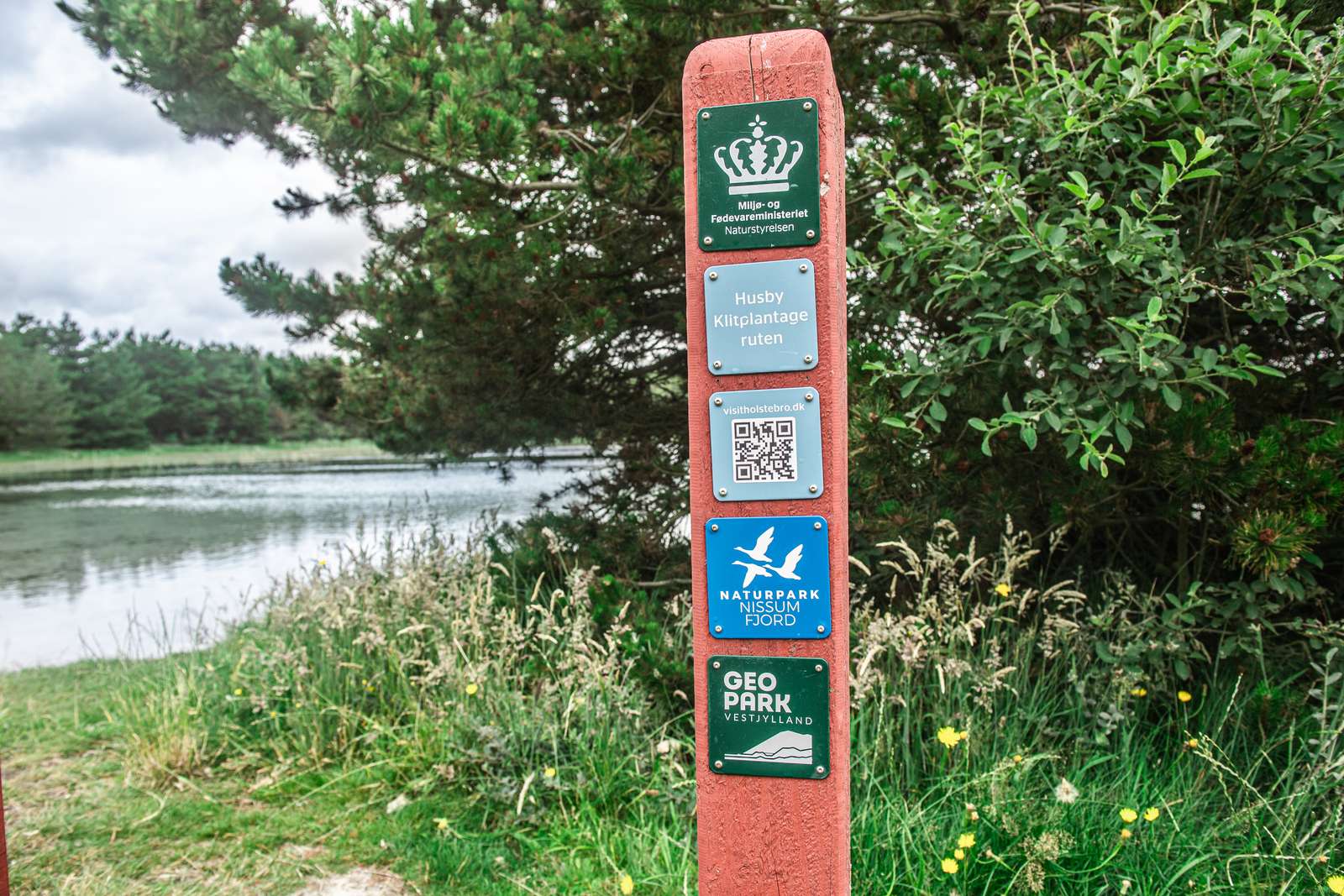 Nissum Fjord_Husby Klitplantage_Geoparken_vandreruter