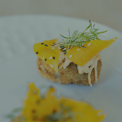 JA Gastro SANS cover