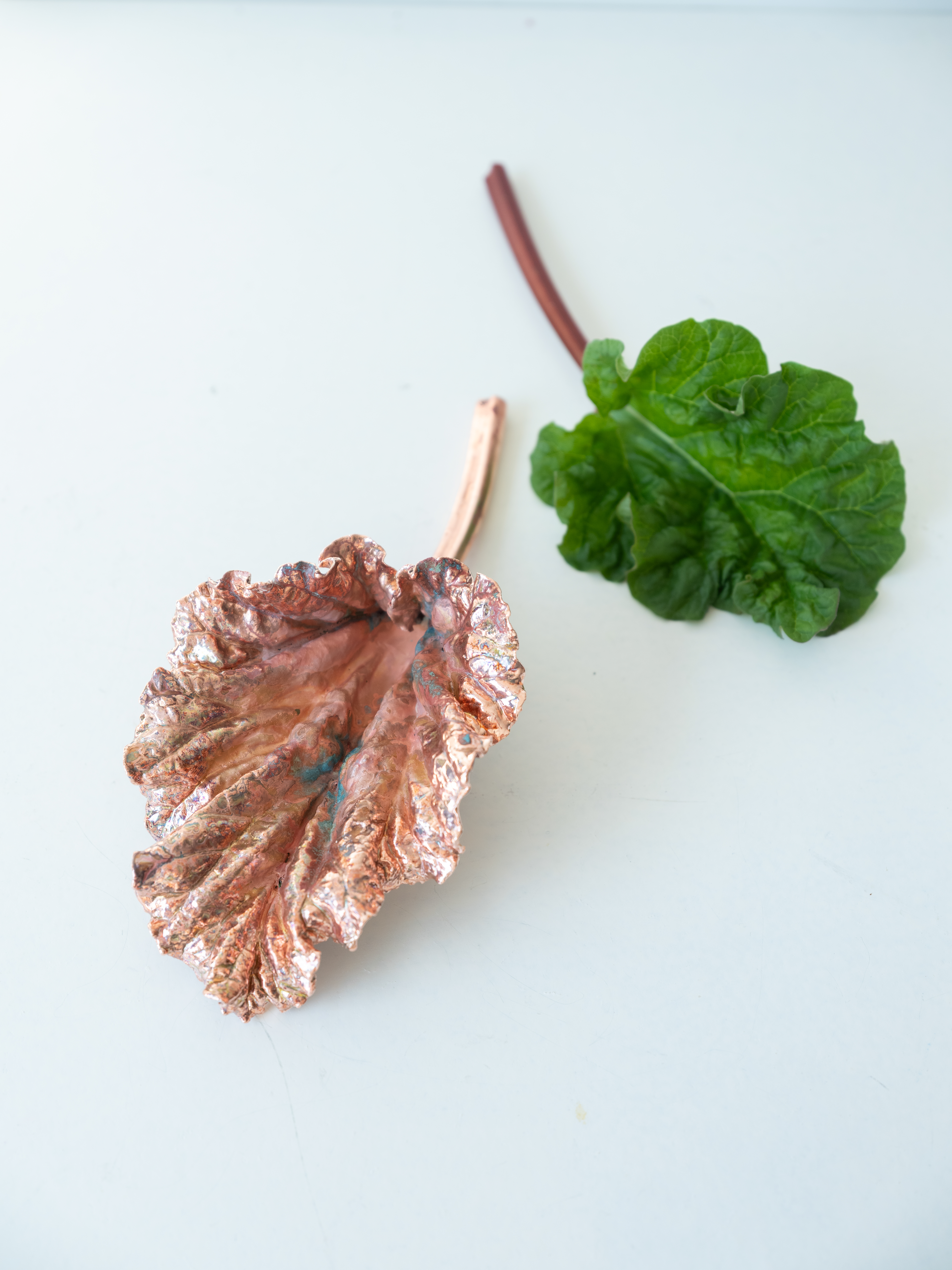 Rabarberfestival i Bøvling