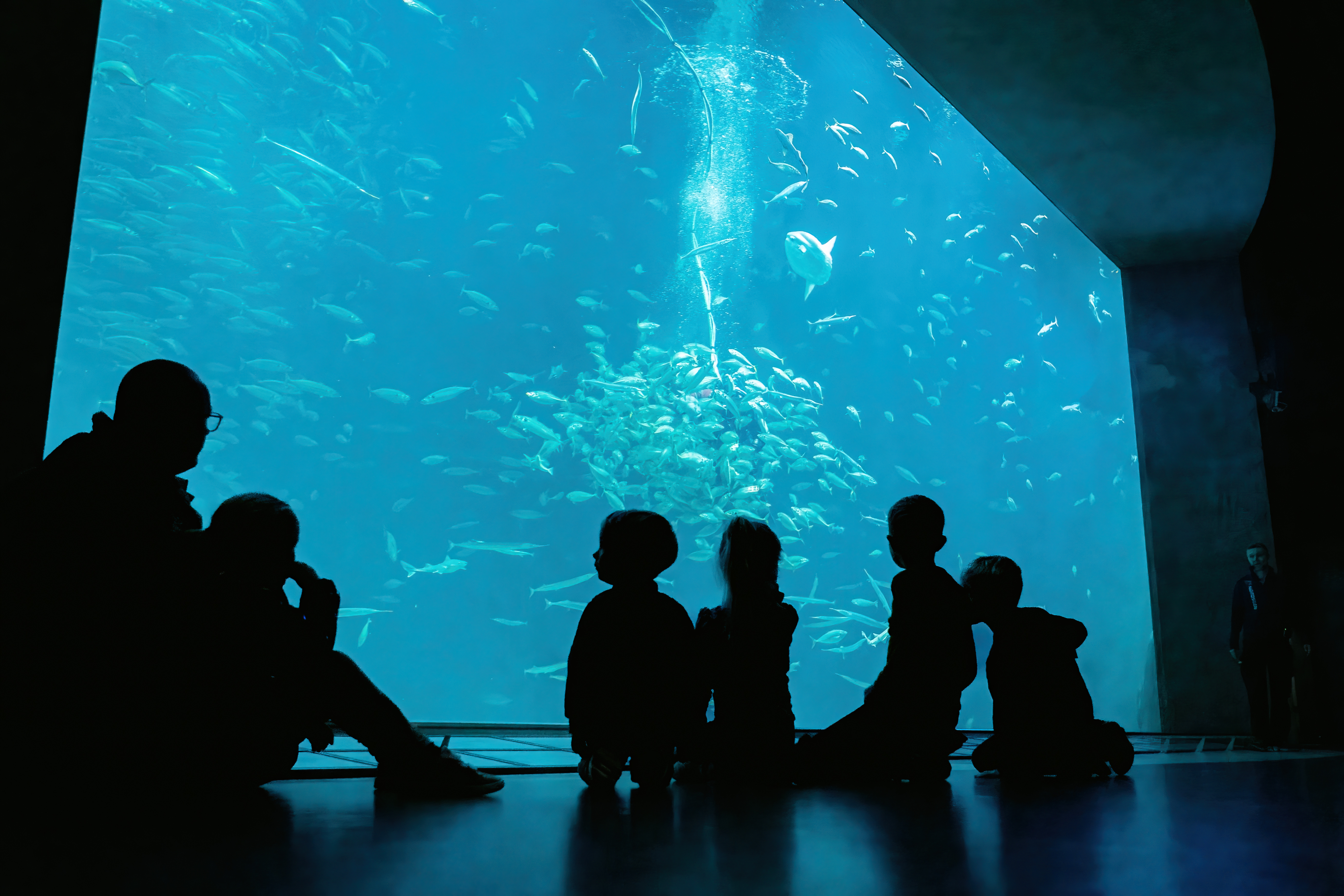 Nordsøen Oceanarium_Oceanariet
