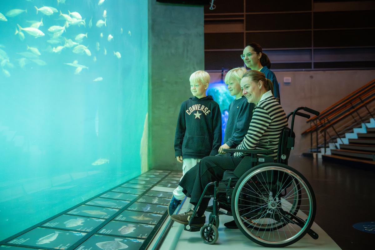Nordsøen Oceanarium handicapvenlighed