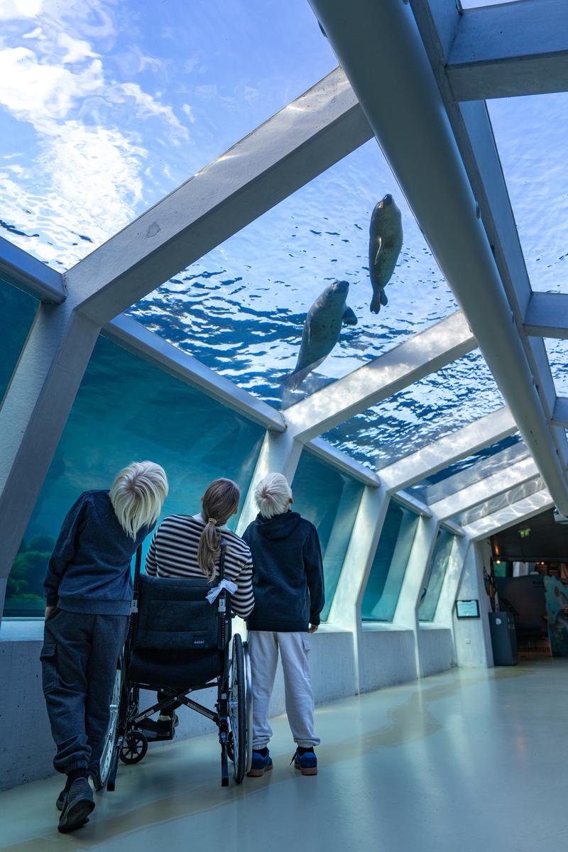 Nordsøen handicapvenlighed