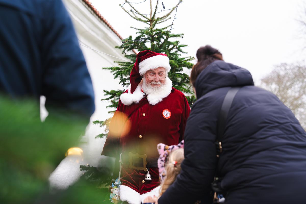 Julemand_jul på Bratskov