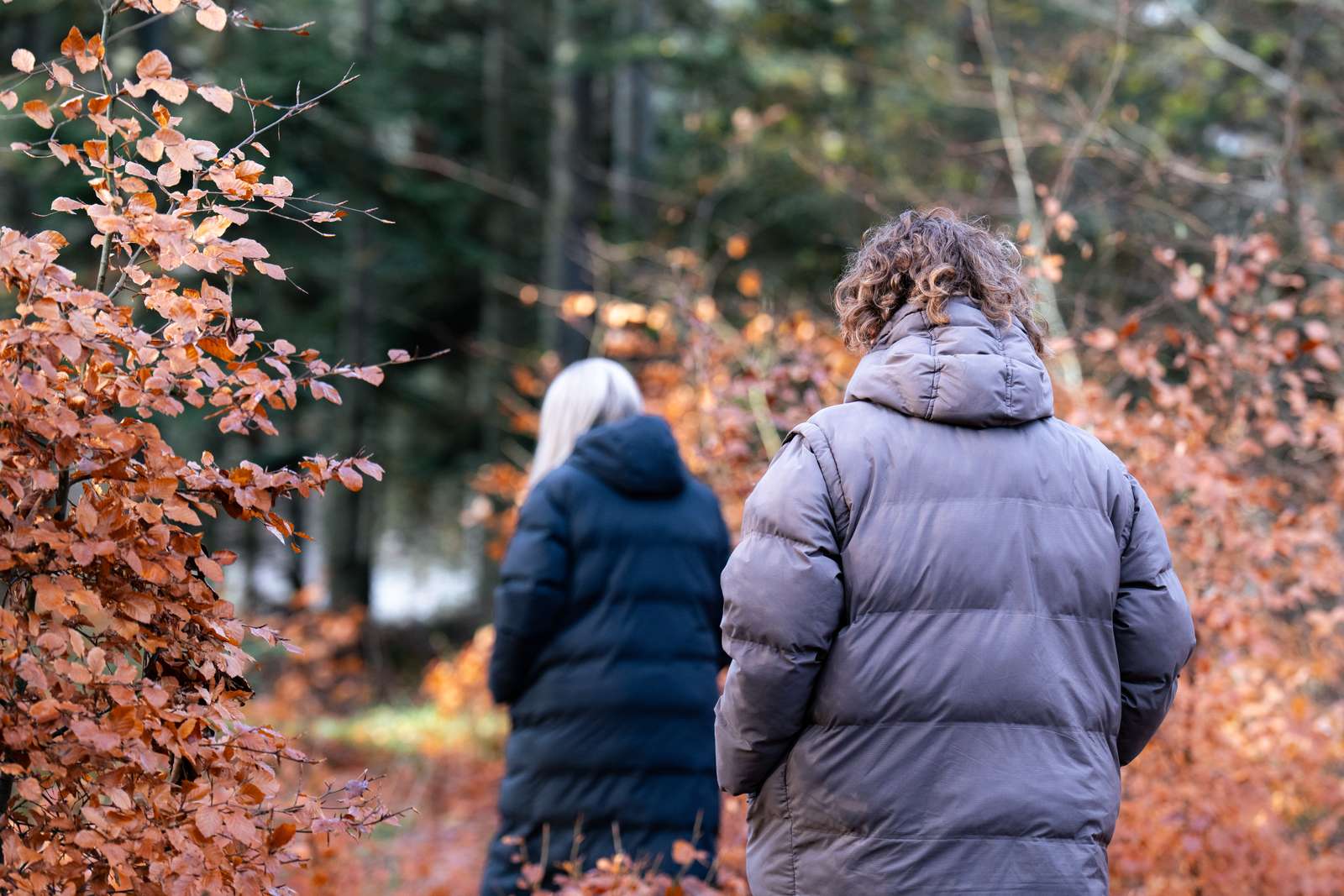 Vinterbillede Skeelslund