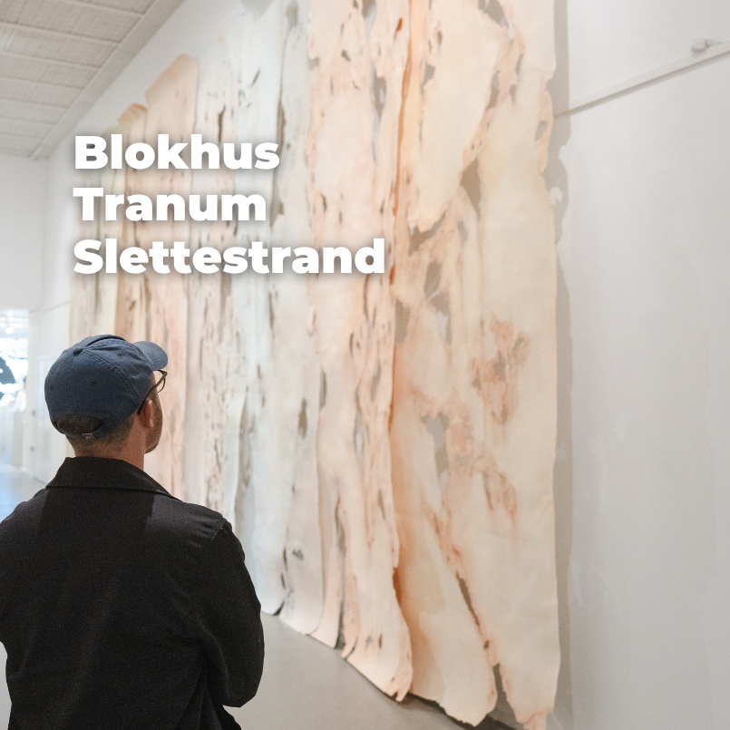 Jammerbugt sans tile