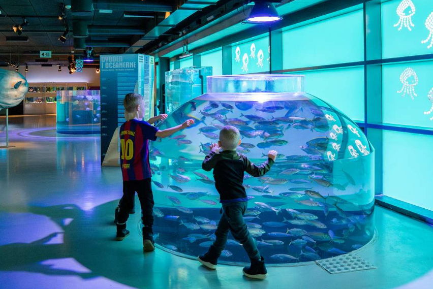 Nordsøen oceanarium børn