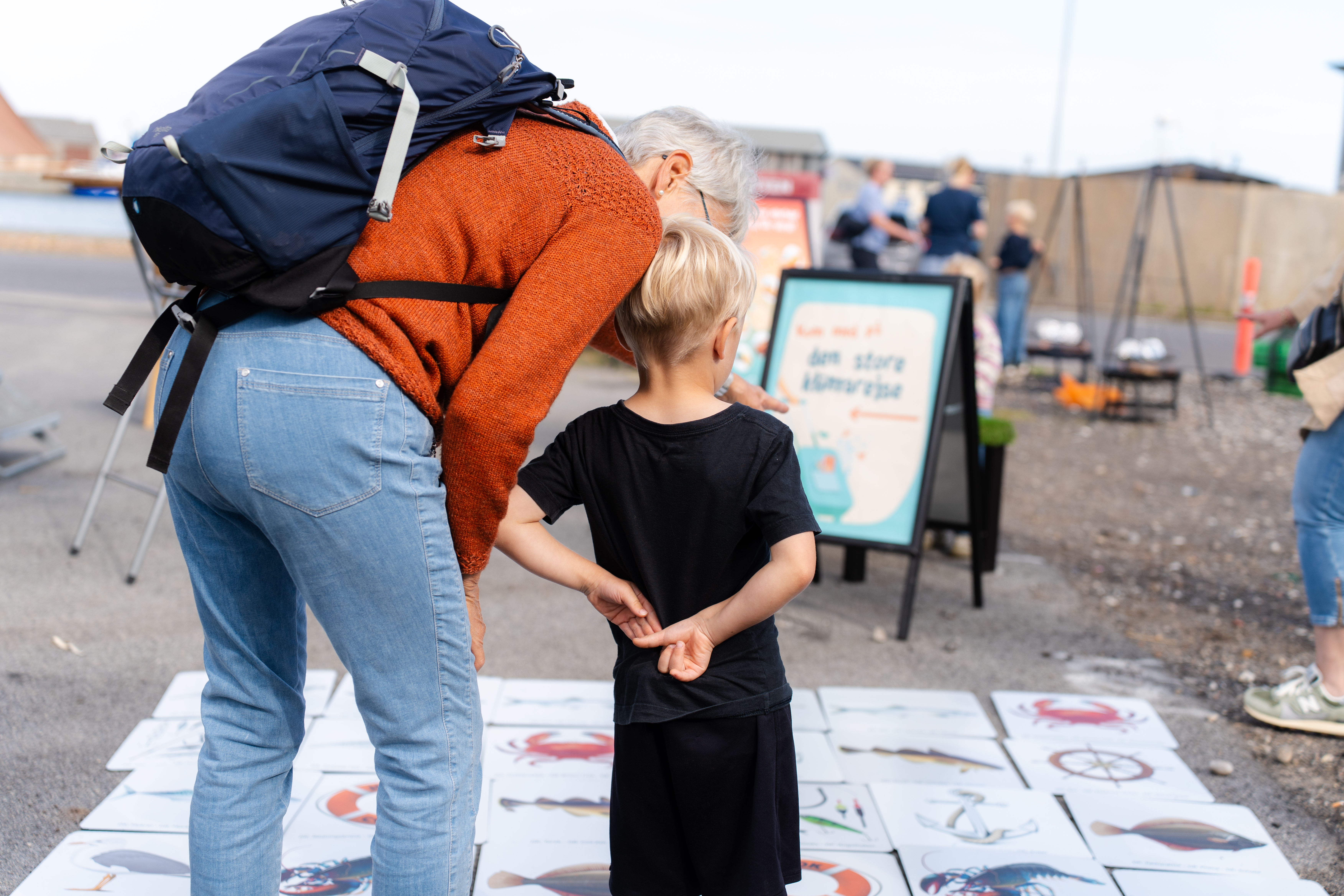 Hook & Cook hirtshals