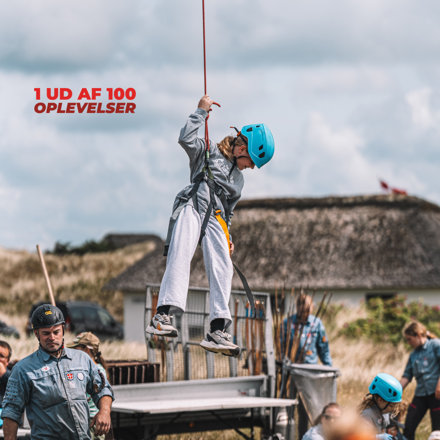 1 ud af 100 tile forside