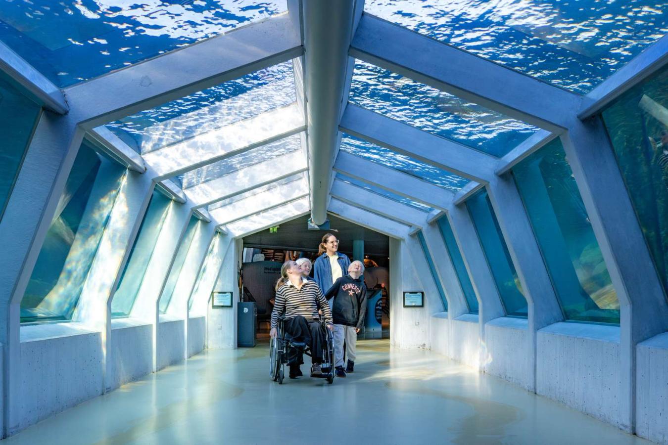 Nordsøen Oceanarium_sælariet