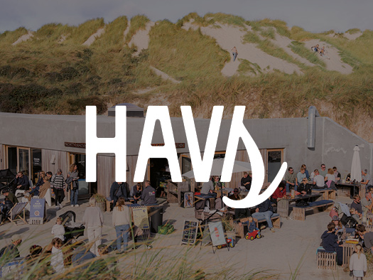 HAVS partner logo