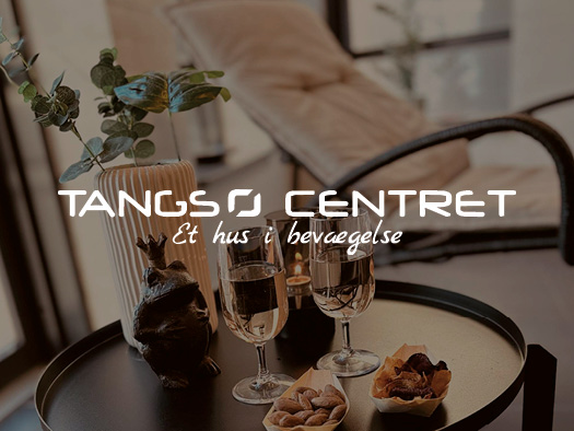 tangsø centret partner logo