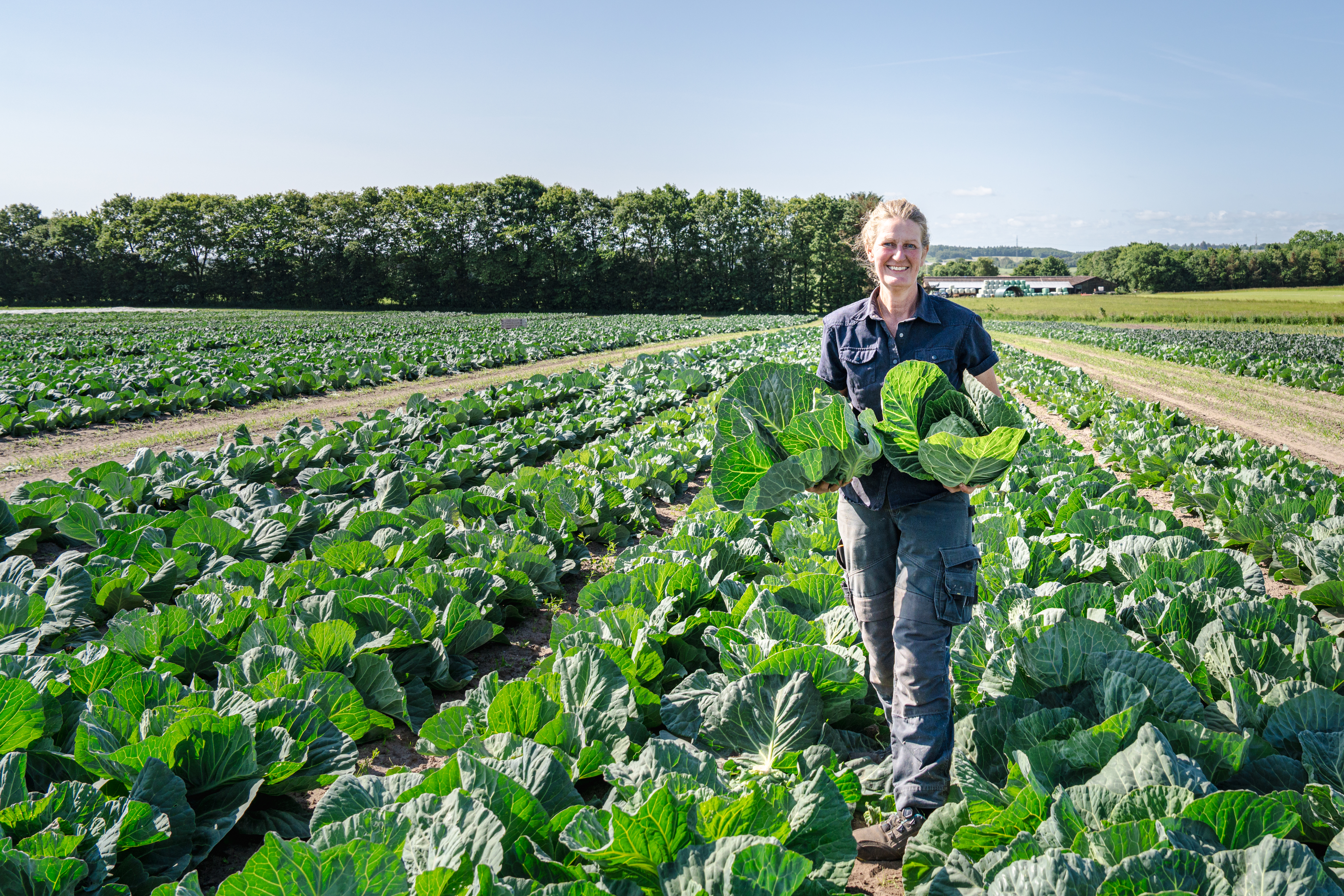 Naturbruget Tranum
