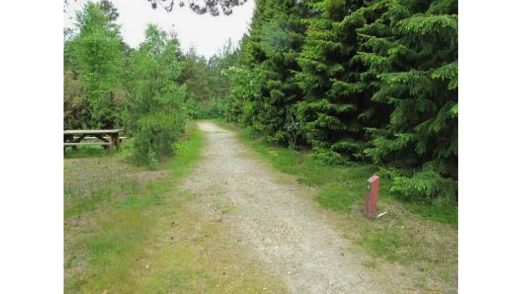 Handicapvenlig rute i Nørhede Plantage