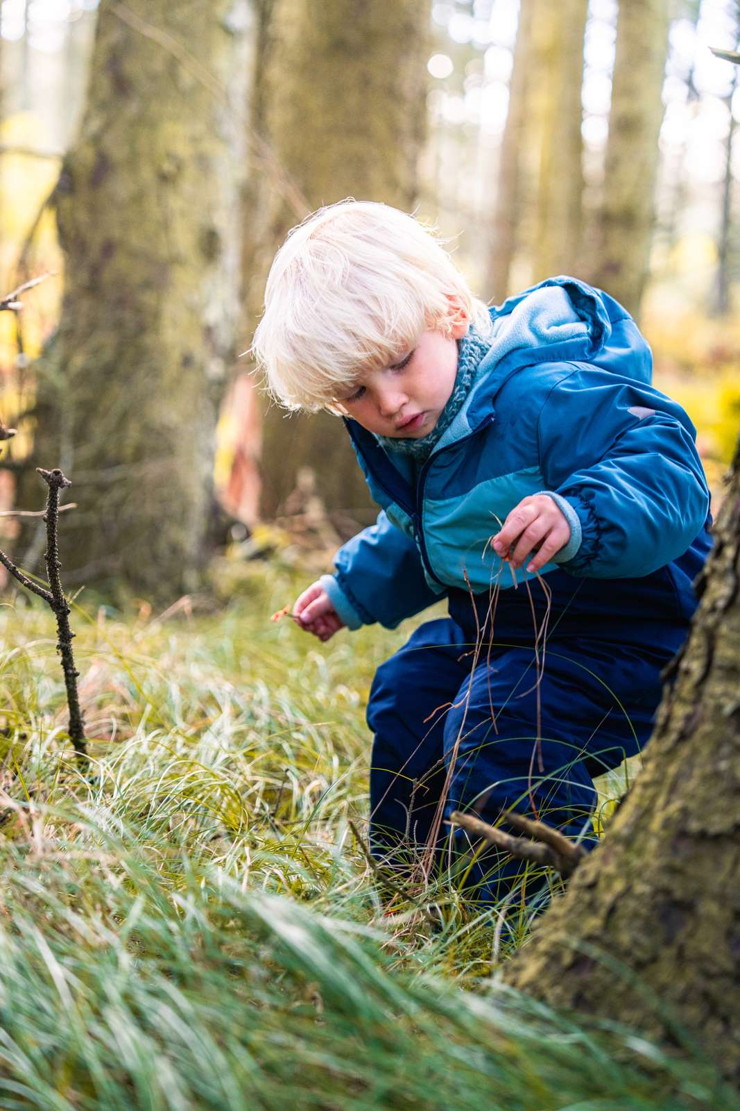 sanke nybæk plantage