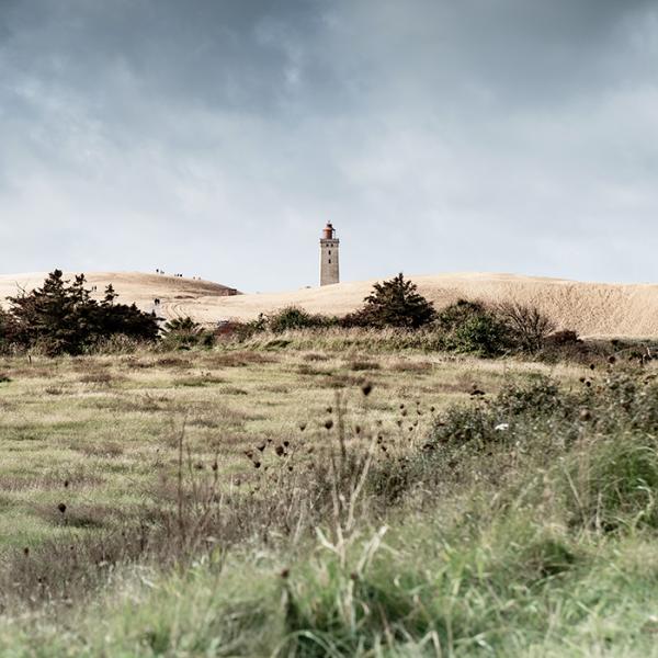 Rubjerg Knude