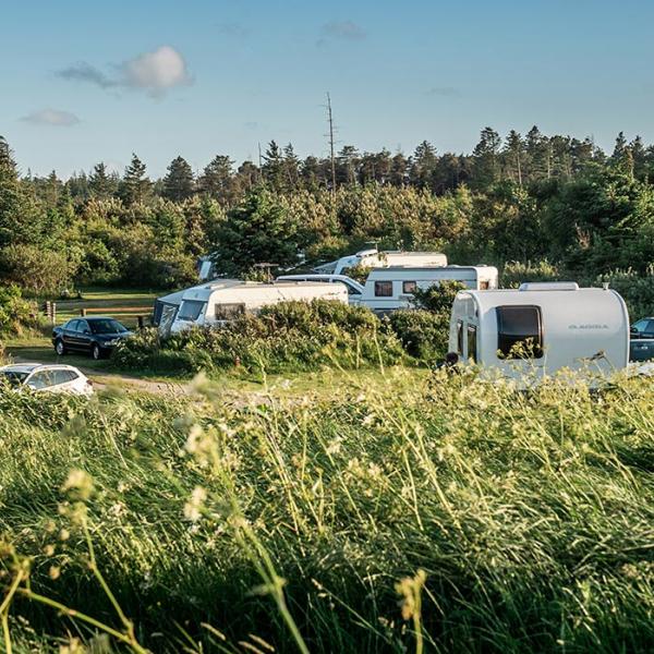 Svinkløv camping