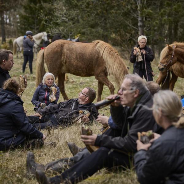 Mennesker og heste