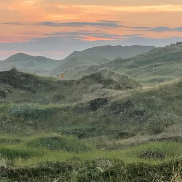 Rødhus Klit Camping_klitter_natur