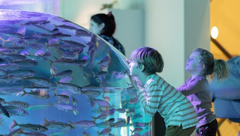 Nordsøen Oceanarium