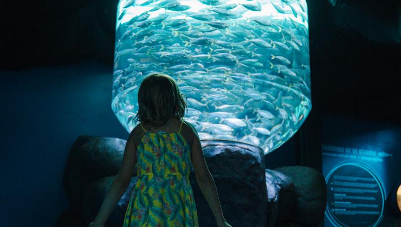 Nordsø Oceanarium