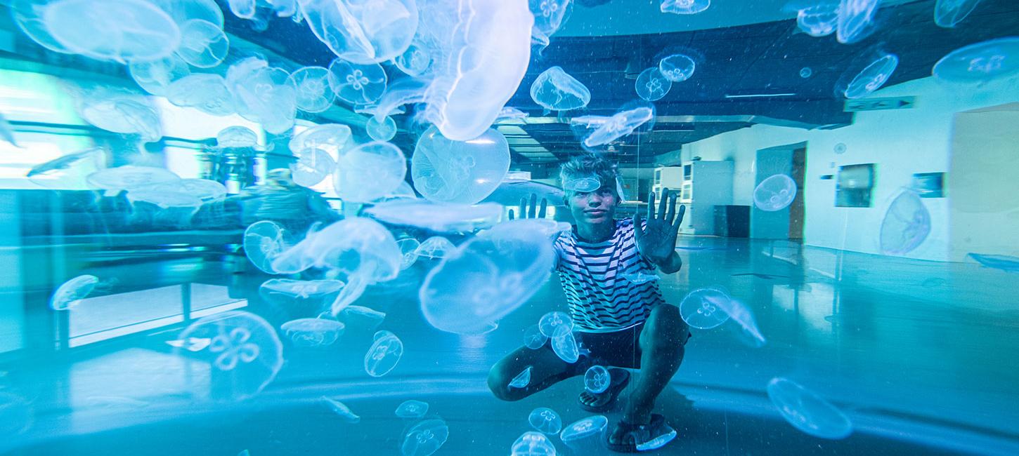 Nordsøen Oceanarium sommer 2020