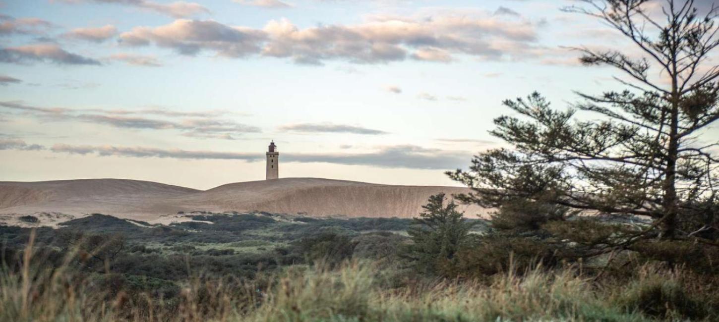 Natur og Rubjerg Knude