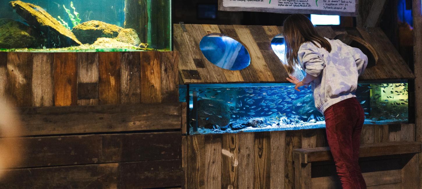 Barn ved Jyllandsakvariet