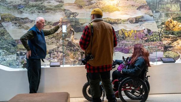 Nationalparkcenter Thy, handicapvenlig oplevelse