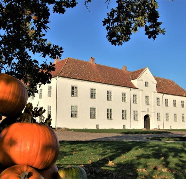 Græskar ved Børglum Kloster